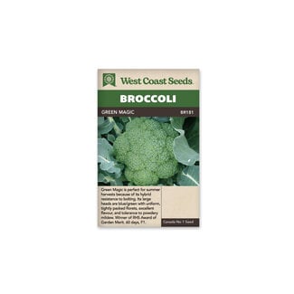 Broccoli - Green Magic F1