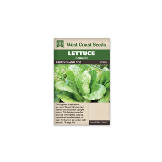 Lettuce - Parris Island Cos