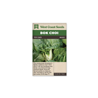Pac Choi - Toy Choy F1