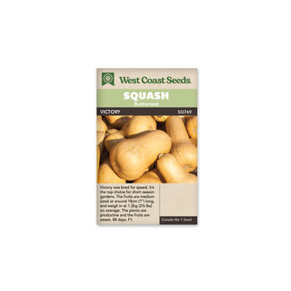 Squash - Victory Early Butternut F1