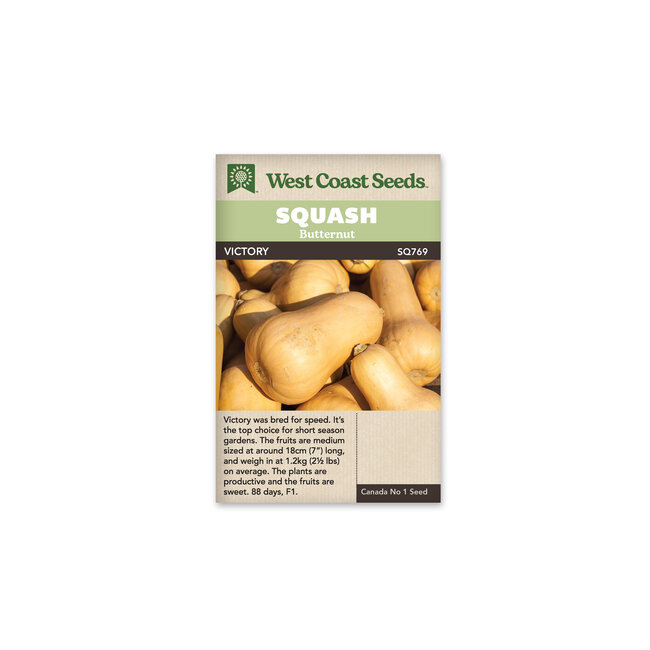 Squash - Victory Early Butternut F1