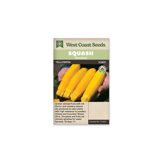 Squash - Yellowfin F1 Certified Organic