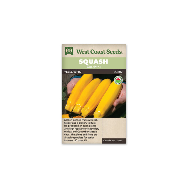 Squash - Yellowfin F1 Certified Organic
