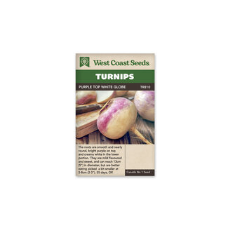 Turnips - Purple Top White Globe