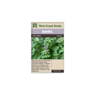 Basil - Holy Basil Certified Organic