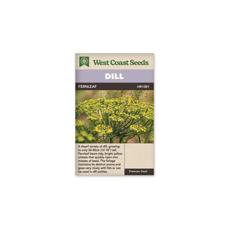 Dill - Fernleaf