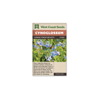 Cynoglossum - Chinese Forget-Me-Nots