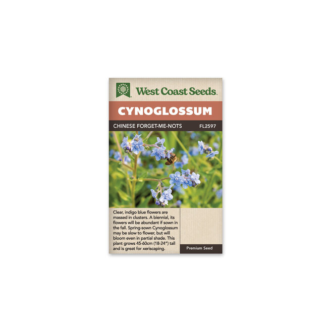 Cynoglossum - Chinese Forget-Me-Nots