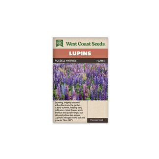 Lupins - Russell Hybrids