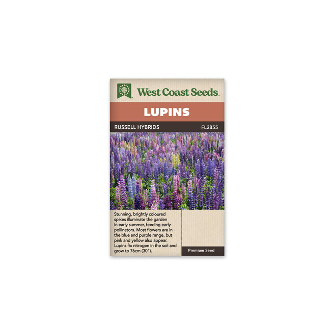 Lupins - Russell Hybrids