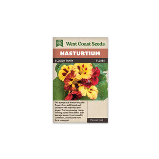 Nasturtium - Bloody Mary