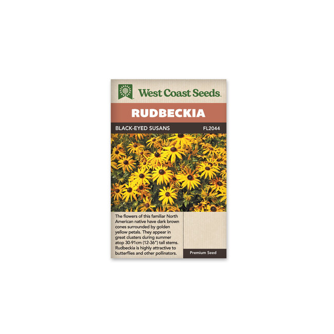 Rudbeckia - Black Eyed Susans