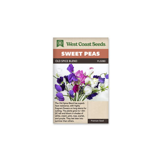 Sweet Peas - Old Spice Blend