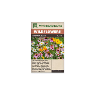 Wildflowers - Perennial Blend