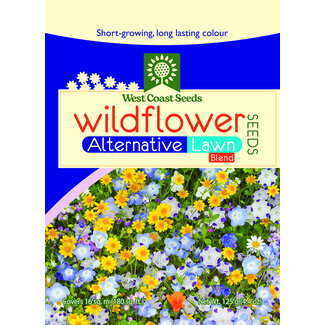 Wildflowers - Alternative Lawn