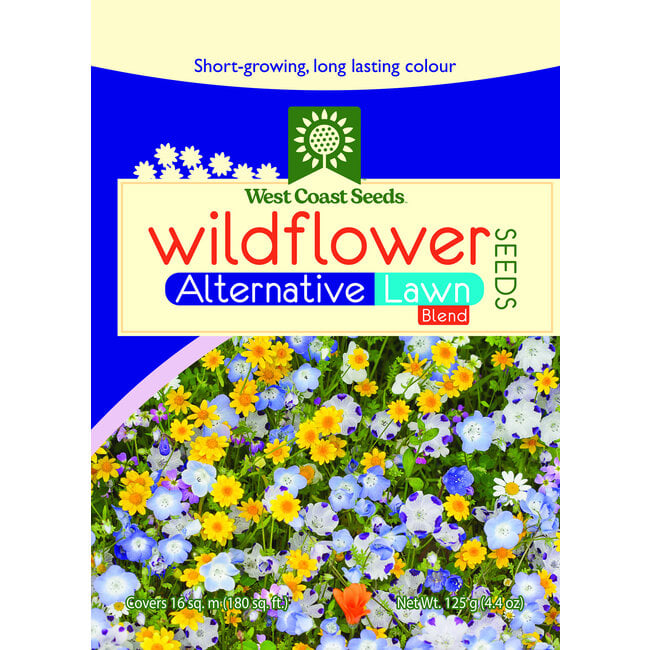 Wildflowers - Alternative Lawn