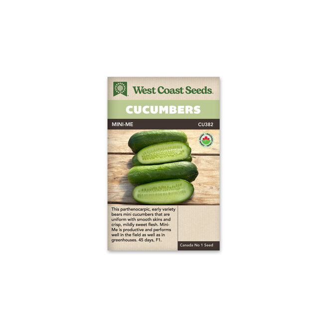 Cucumbers - Mini-Me F1 Organic