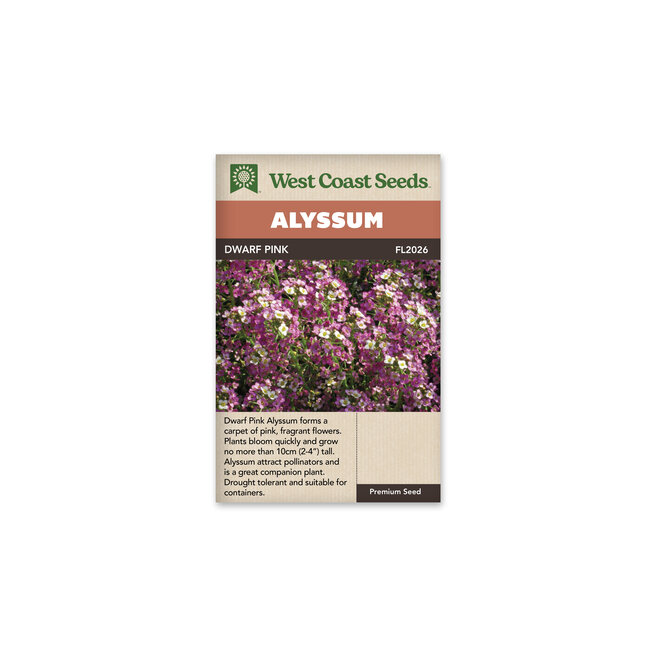 Alyssum - Dwarf Pink