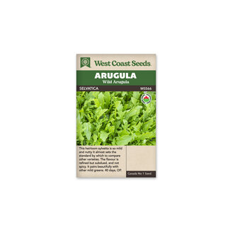 Arugula - Selvatica Certified Organic