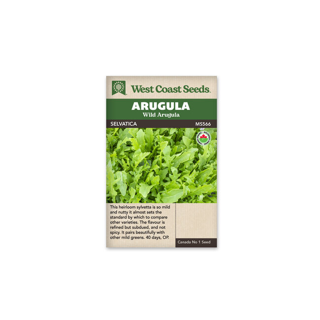 Arugula - Selvatica Certified Organic
