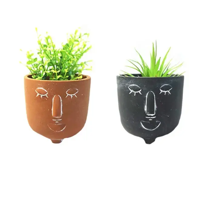 4" Face Planter Assorted