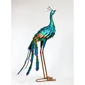Colourful Metal Peacock Head Up