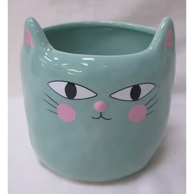 4" Aqua Cat Pot