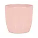 6" Pink Dolomite Pot