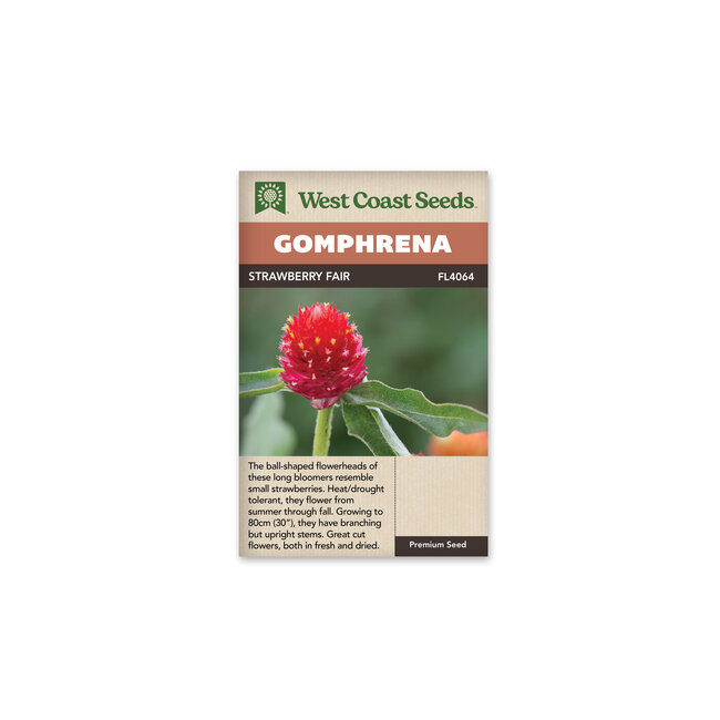 Gomphrena - Strawberry Fair