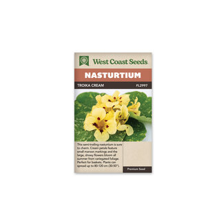 Nasturtium - Troika Cream