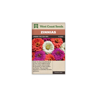 Zinnias - Under the Sea Mix