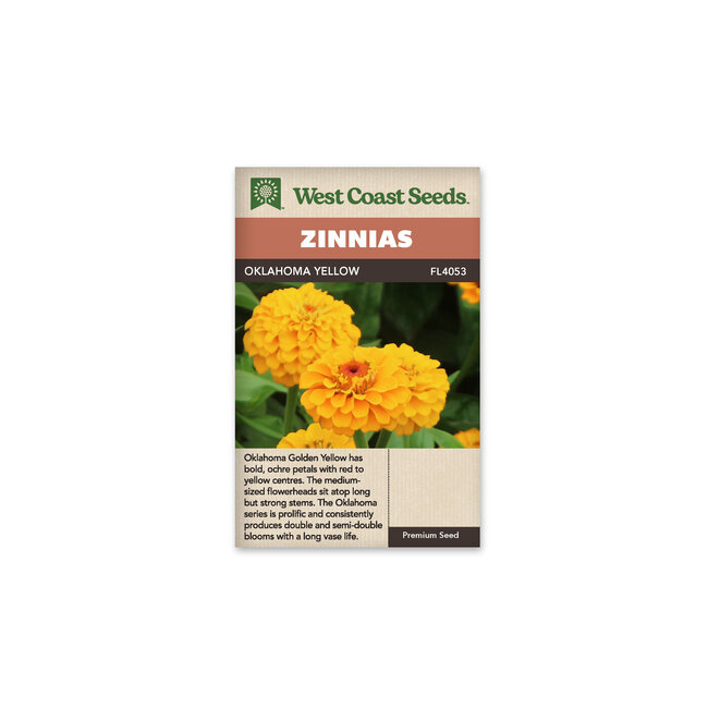 Zinnias - Oklahoma Yellow