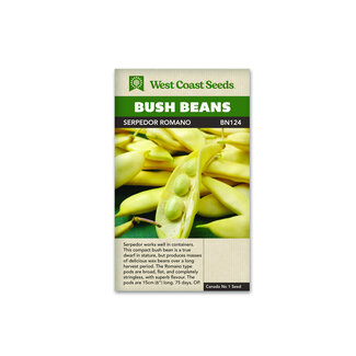 Bush Beans Serpedor Romano