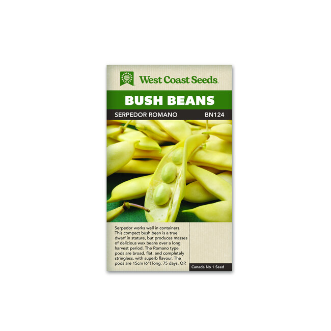 Bush Beans - Serpedor Romano