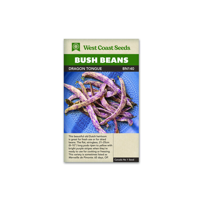 Bush Beans - Dragon Tongue