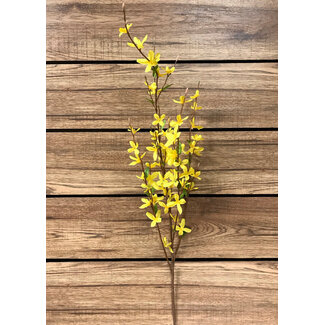 38" Yellow Forsythia Pic