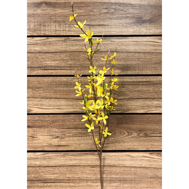 38" Yellow Forsythia Pic