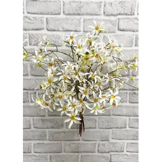 21" White Forsythia Bundle