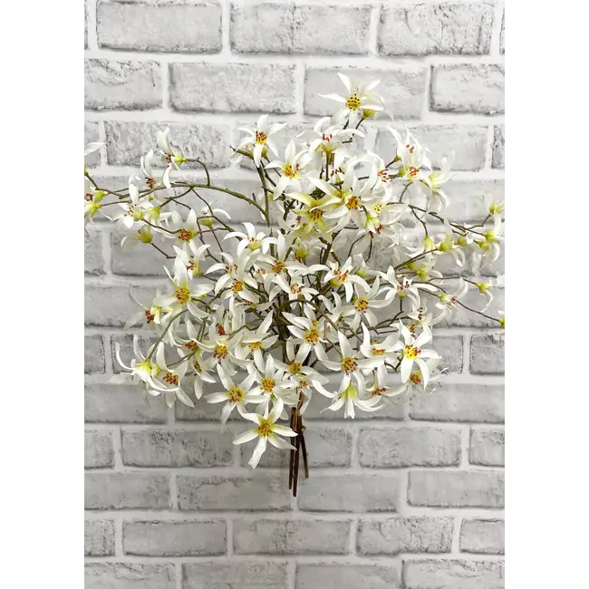 21" White Forsythia Bundle
