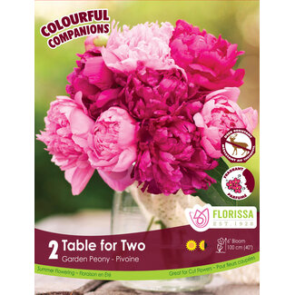 Peony - Table For Two