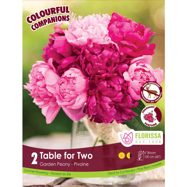 Peony - Table For Two