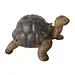 Turtle Statue