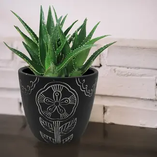 7" Black & White Flower Cement Pot