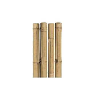 7' Natural Bamboo Stake