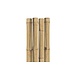 7' Natural Bamboo Stake
