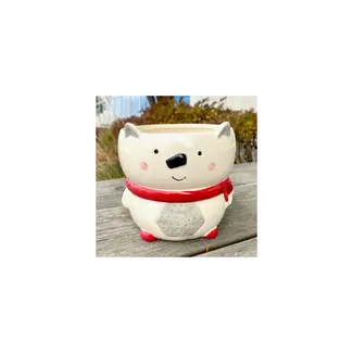 4" Polar Bear Dolomite Pot