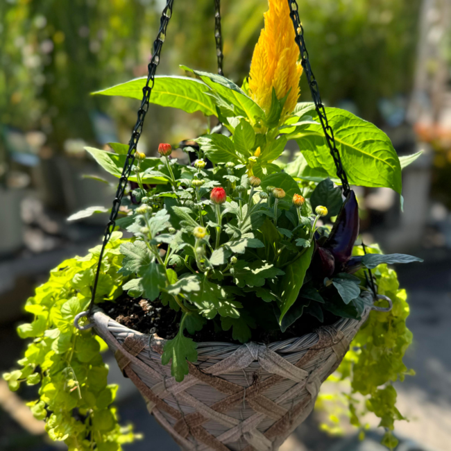 Hanging Fall Planter Workshop