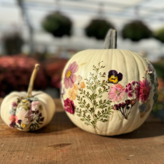 Wildflower Pumpkin Workshop