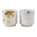 Silver/Gold Snowflake Pot