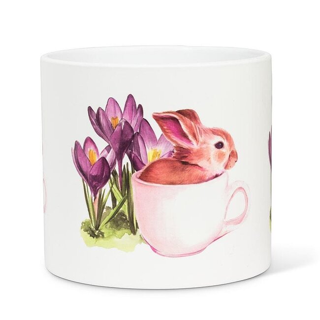 Bunny Crocus Pot